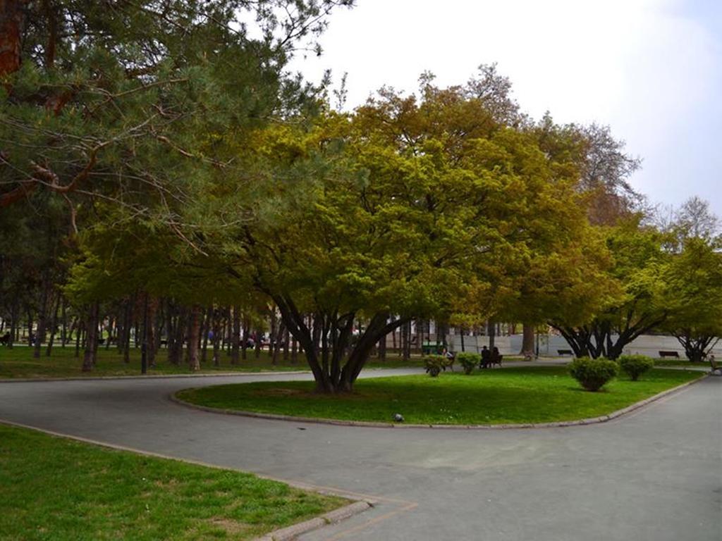Guesthouse City Central International Üsküp Dış mekan fotoğraf